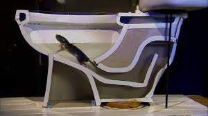 You don't have to believe this. 