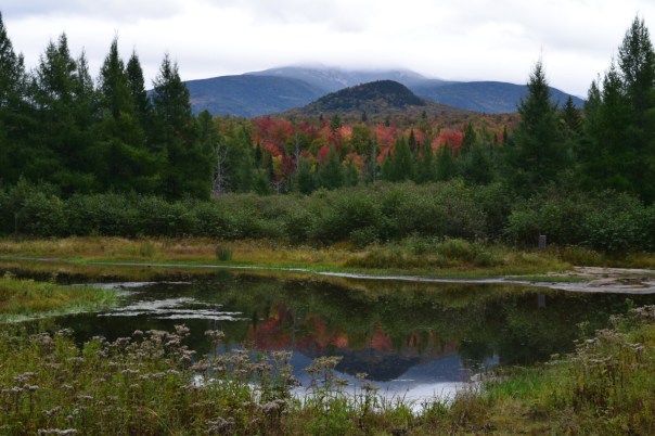 4ac78946-e2b4-46cd-9ffb-e3fe233ce013-004