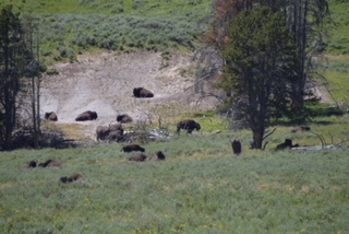 Yellowstone National Park